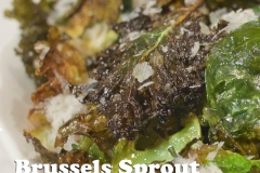 Brussels-Sprout-Chips-Front